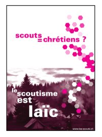 scoutisme_laic_2007.jpg