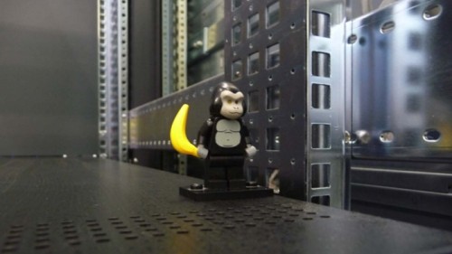 Un gorilla LEGO tra i computer del CERN (da Symmetry Magazine)